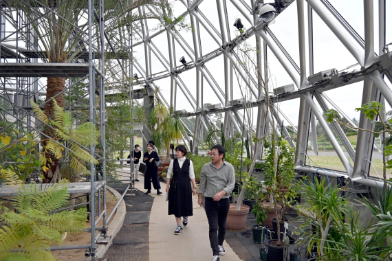 鳥取大学乾燥地研究センターの温室