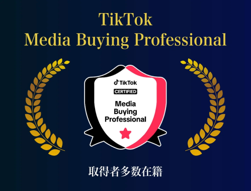 TikTok Media Buying Professional
