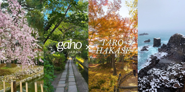 四季折々の日本の風景と葉加瀬太郎氏のコラボレーション